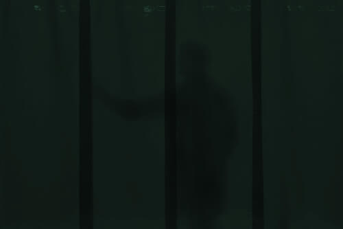 lassheet dark green kader